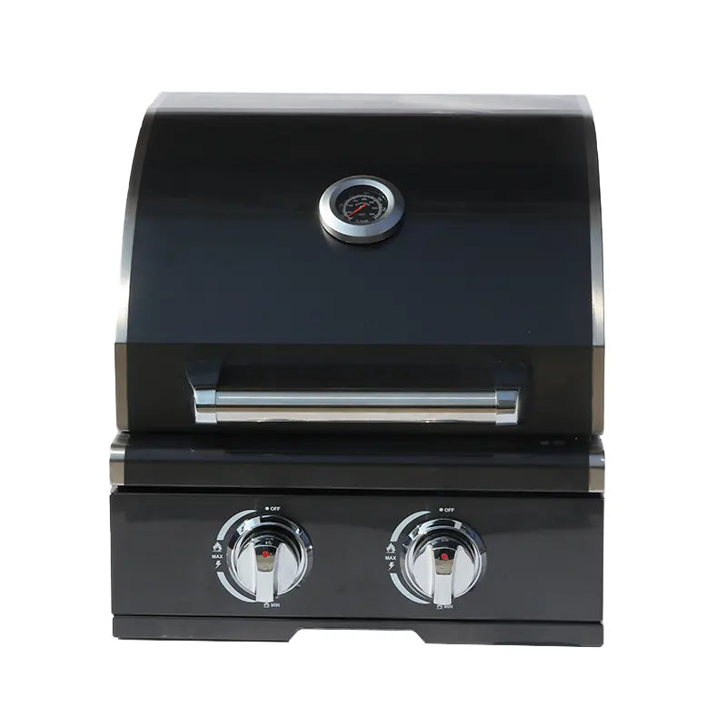 304 Stainless Steel Multifunction Gas Barbeque Grill Modern Luxurious Premium Built-in BBQ Gas Grill